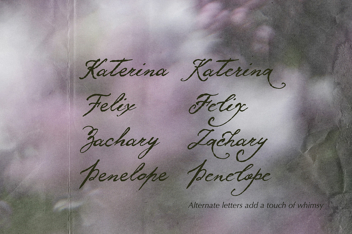 Verona Serenade Script Font vintage, a Script Font by TD fonts (Photo 11 of 12)