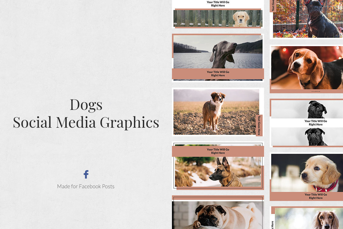 Facebook Posts Bundle, a Social Media Template by Social Corner Graphics (Photo 20 of 37)