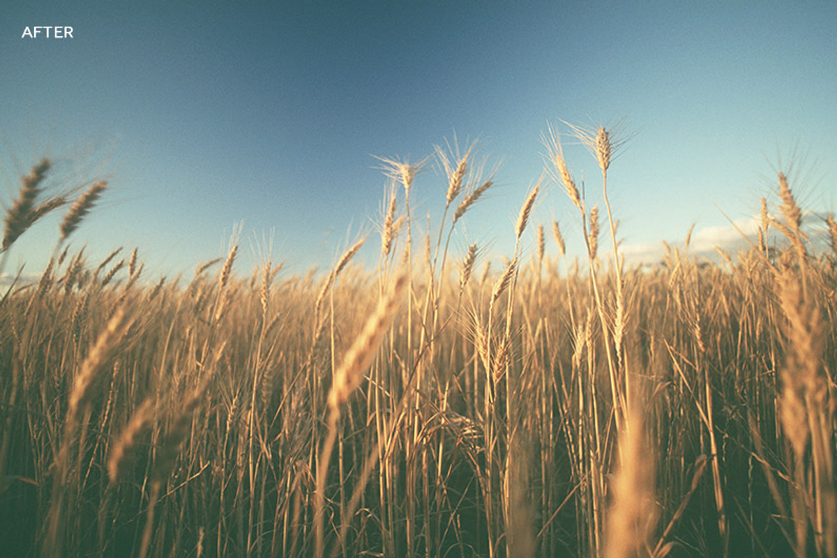 Haze Photoshop Actions, an Action Add-On by Photography Planet (Photo 1 of 5)