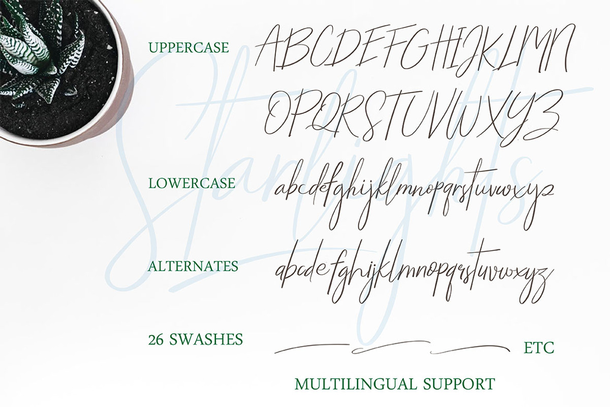 STARLIGHTS | A Classy Script, a Script Font by AMINMARIO (Photo 10 of 11)