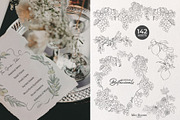 Editorial Botanical Line Art, an Object Illustration by Mio Buono (Thumbnail 7 of 16)