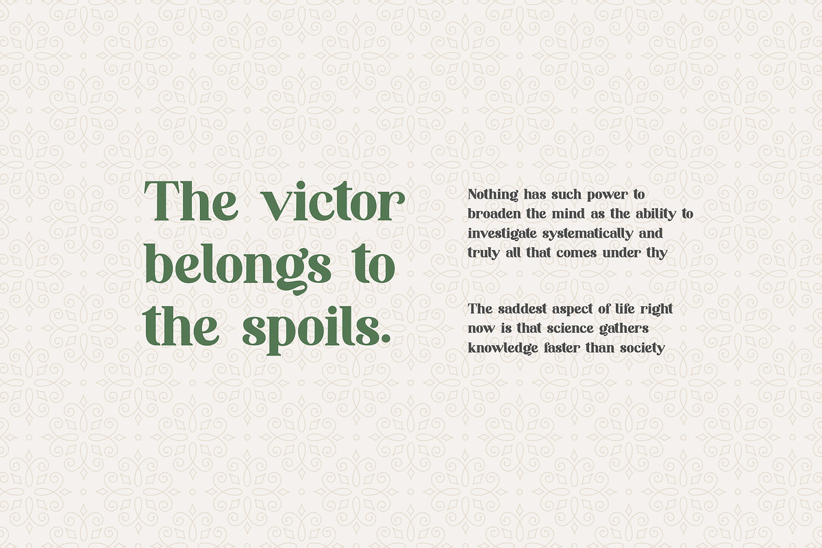 Monggoland Elegant Serif Font preview 5