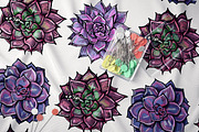 6 seamless patterns with succulents, a Pattern Graphic by AV Design (Thumbnail 3 of 8)