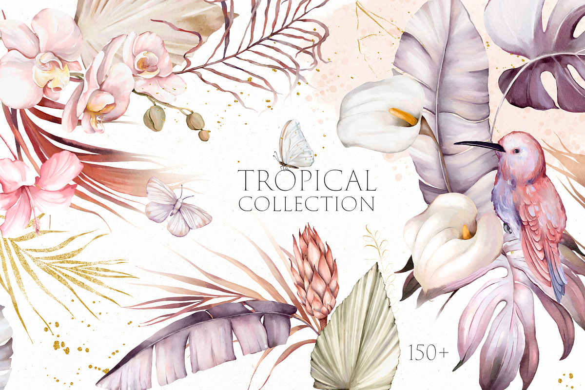 Watercolor Tropical Collection, an Illustration by Les Frolova (Photo 1 of 14)