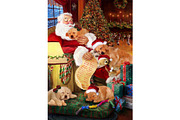 Santa Golden Retriever Dog Wall Art, an Animal Illustration by Art Paradise Studios (Thumbnail 1 of 3)