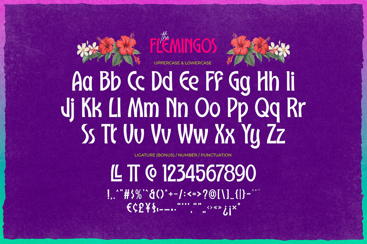 The Flemingos - Tropical Summer Font, a Sans Serif Font by ikiiko (Photo 6 of 7)