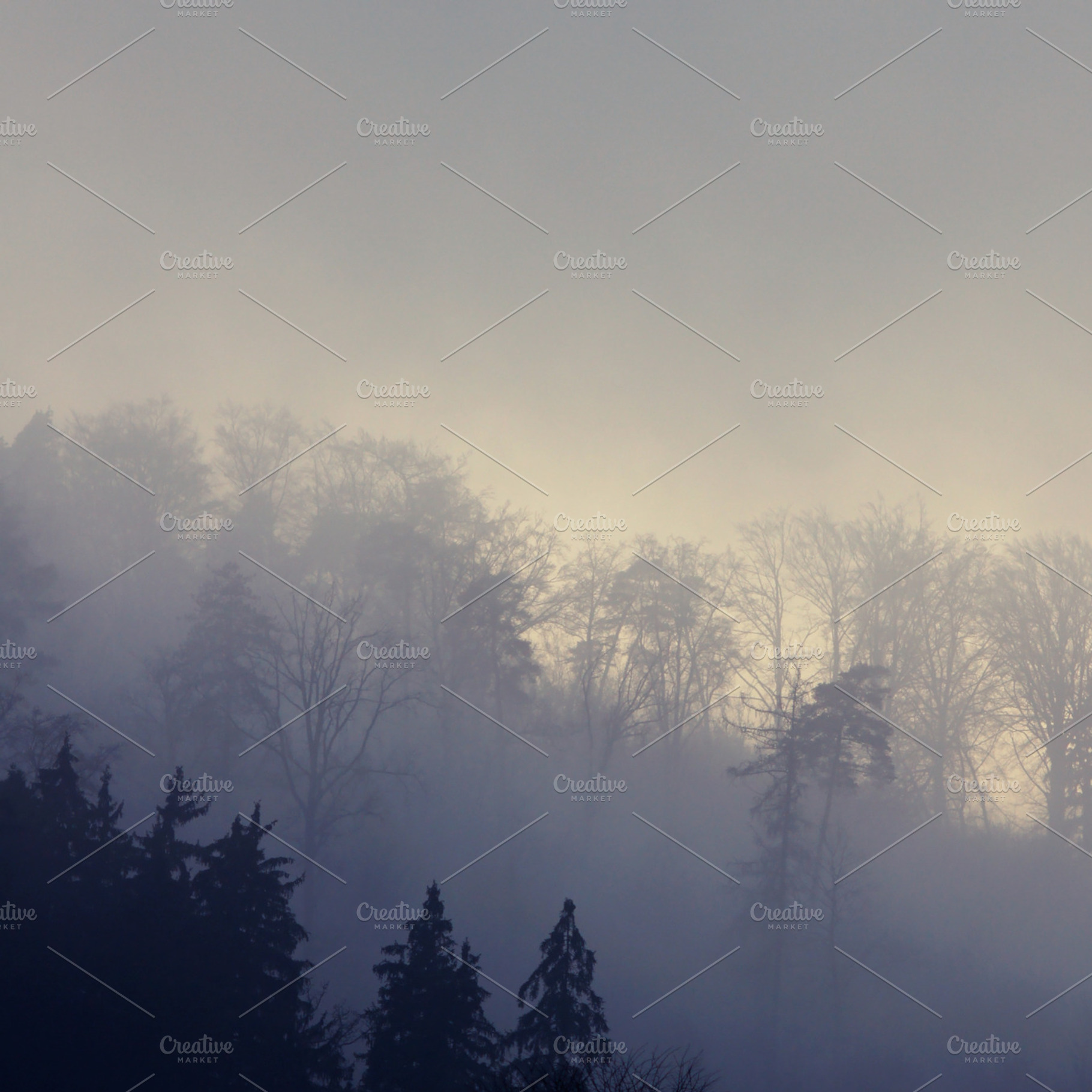 Mist