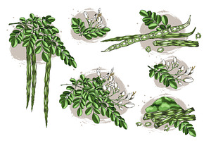 Set of watercolor sketches with, an Object Illustration by Sabelskaya