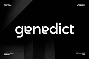 Genedict Premium Sans Serif Font, a Sans Serif Font by Artiveko (Thumbnail 1 of 8)