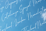 Tropical Sunshine, a Script Font by AnayaStudio (Thumbnail 3 of 8)