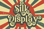 Silk Display, a Font by LuhopCreative (Thumbnail 17 of 17)