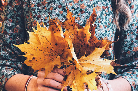 Woman holding bunch of maple leaves 