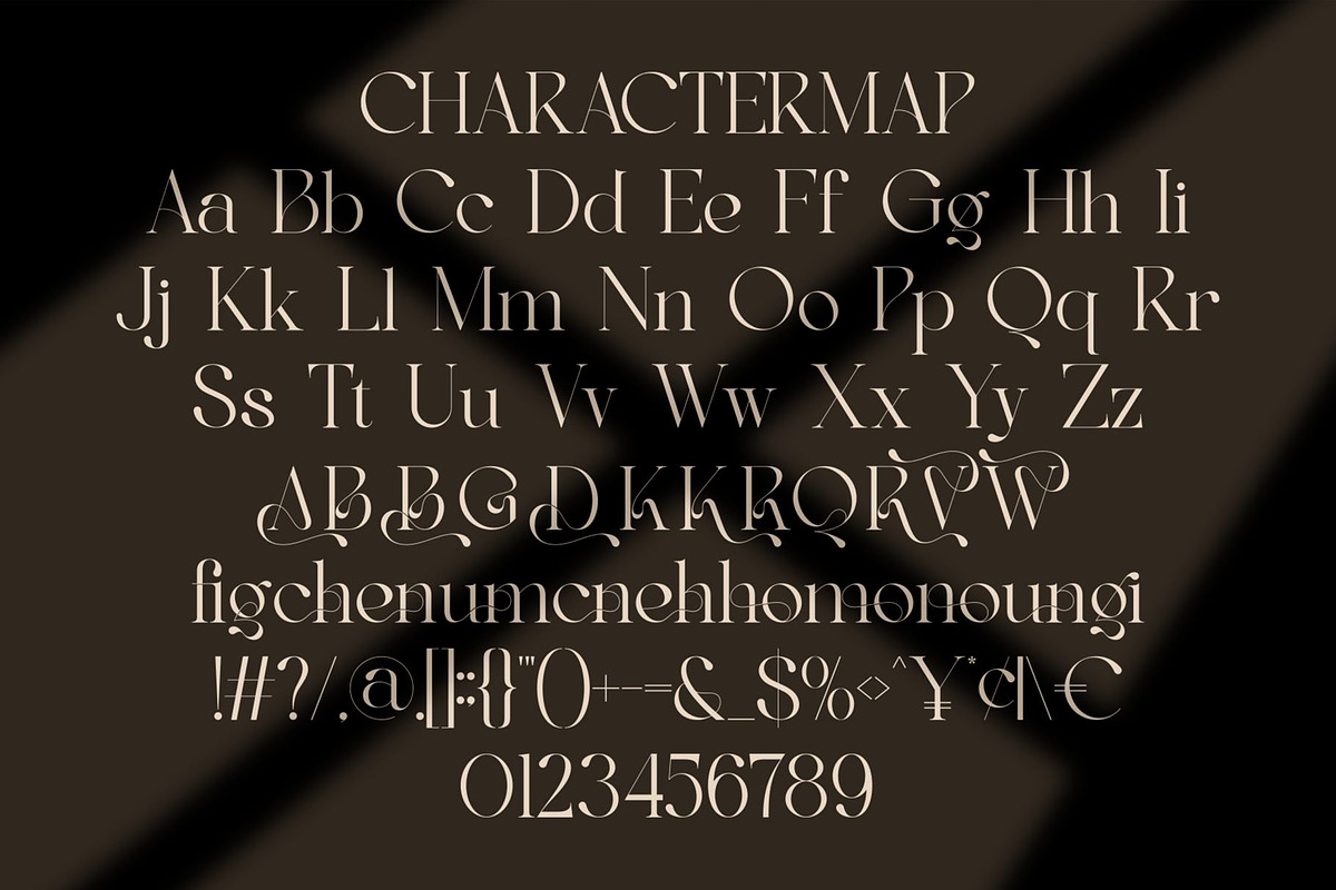 Belyga || Modern Classy Serif Font, a Serif Font by Ermedia Studio (Photo 10 of 10)
