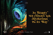 Sophista Belucy Display Beauty Font, a Serif Font by Skillyas_Studio (Thumbnail 6 of 12)