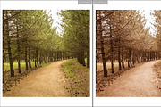 Signature Film Mobile Lr Preset, a Preset Add-On by Fltrr Lightroom Presets (Thumbnail 7 of 20)