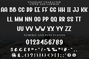 Brother, a Script Font by FreshTypeINK (Thumbnail 5 of 8)