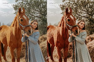 10 Rustic Lightroom Presets