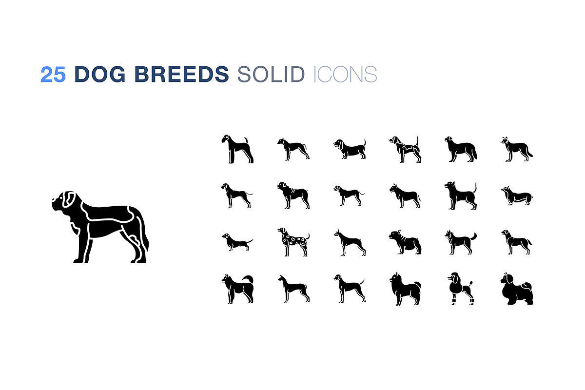 Dog breeds icon set, an Icon by Icongeek26 (Photo 3 of 6)