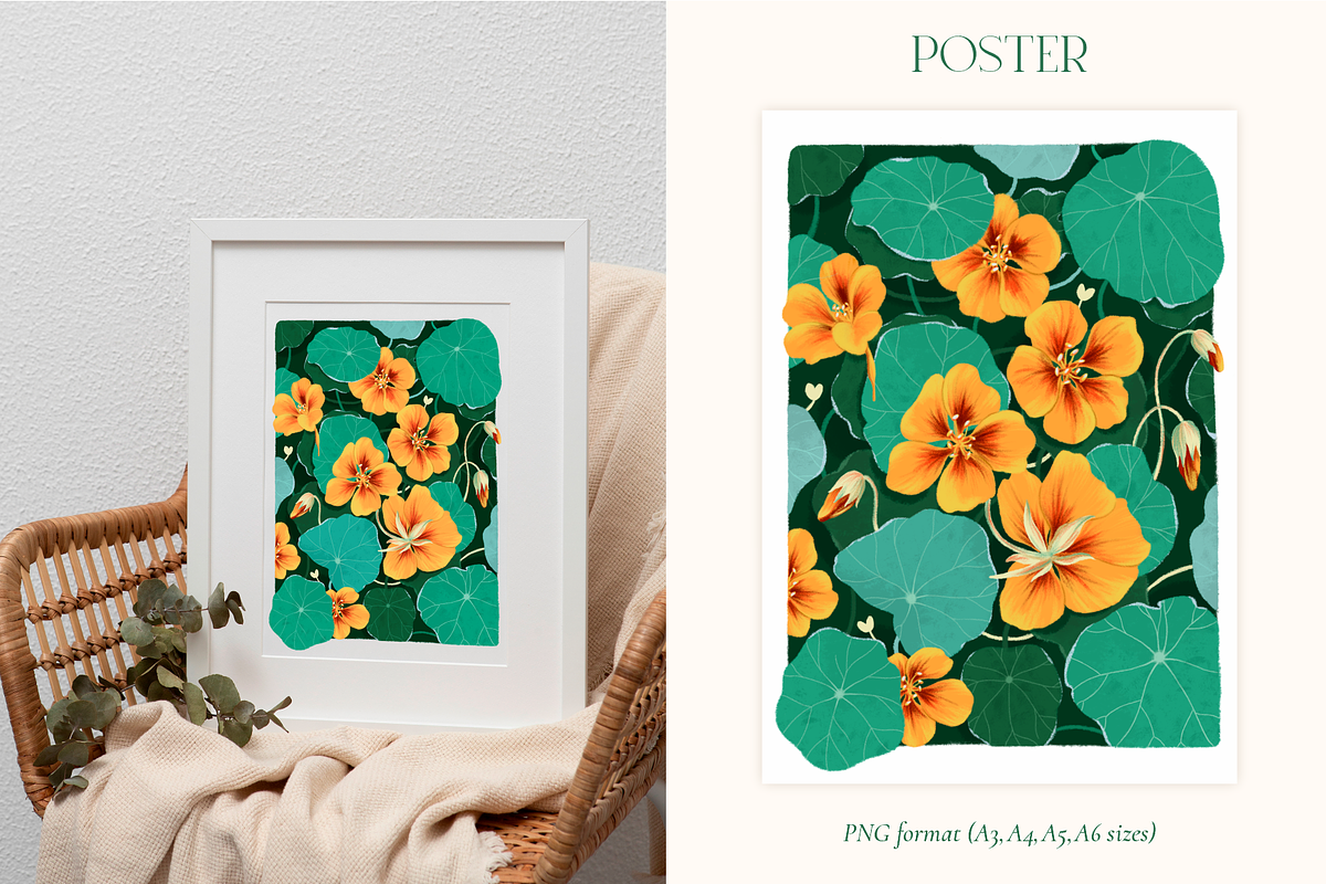 Nasturtium summer flowers clipart, a Decorative Illustration by Harmony Draws (Photo 7 of 8)