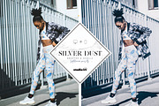 2 Silver lightroom presets, a Plug-in Add-On by studio25 (Thumbnail 2 of 7)