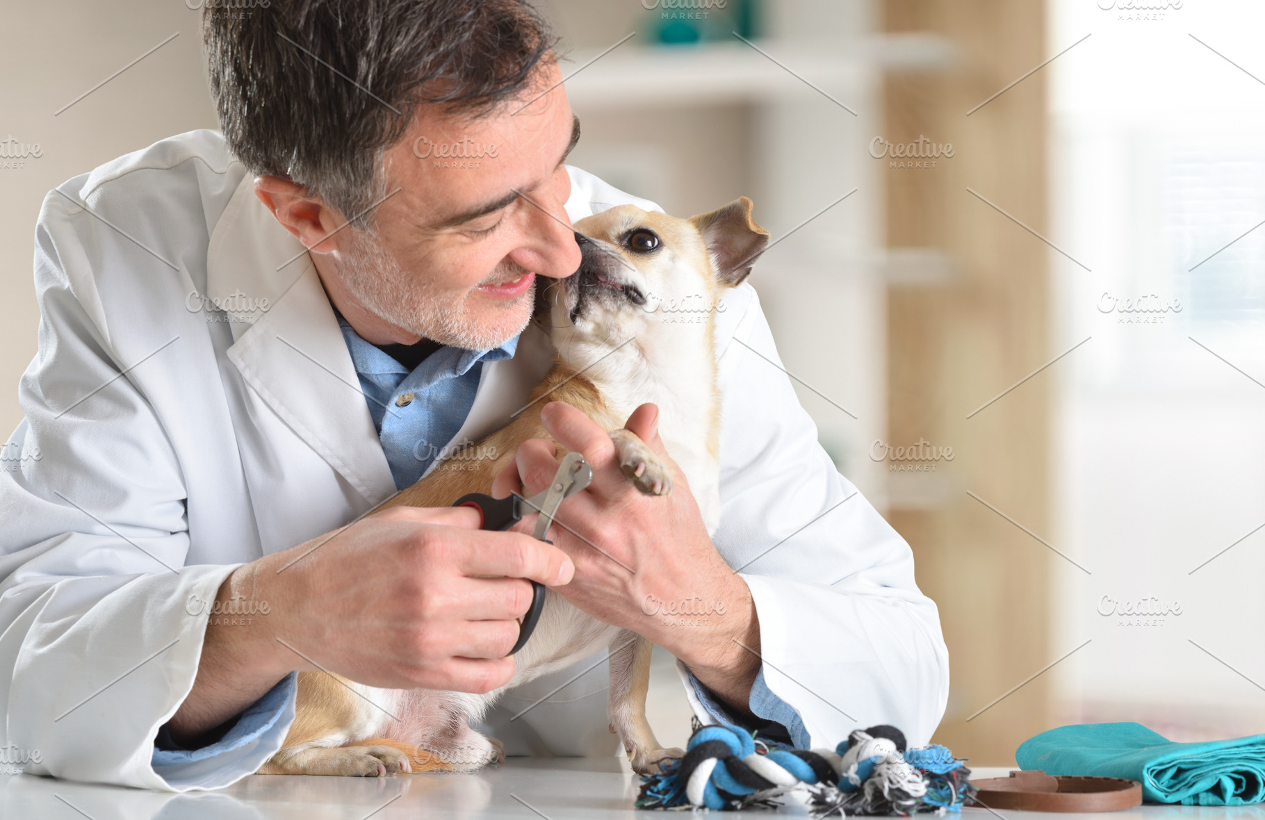 Veterinarian Holding Dog While It Licks Him, an Animal Photo by Davizro's Market