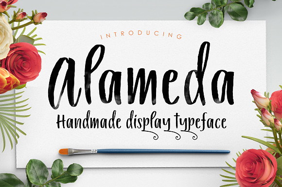 Alameda Typeface preview 8