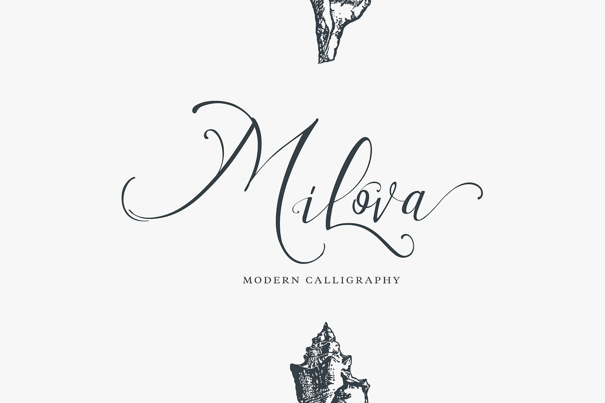 Milova | Modern Calligraphy font, a Script Font by creativemedialab (Photo 1 of 7)