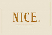 Kastel Voire - Classic Display Font, a Sans Serif Font by Vultype Co. (Thumbnail 4 of 12)