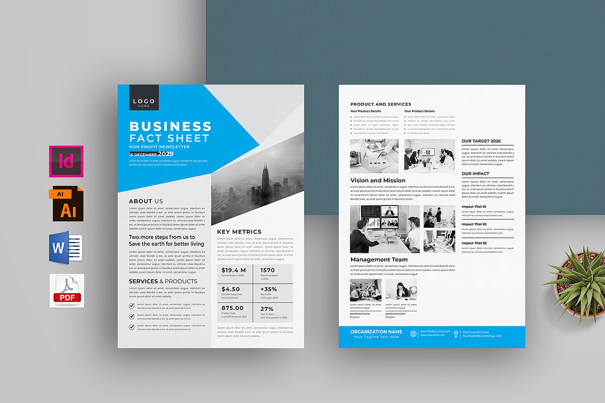 Nonprofit Organization Fact Sheet, a Flyer Template by obayes