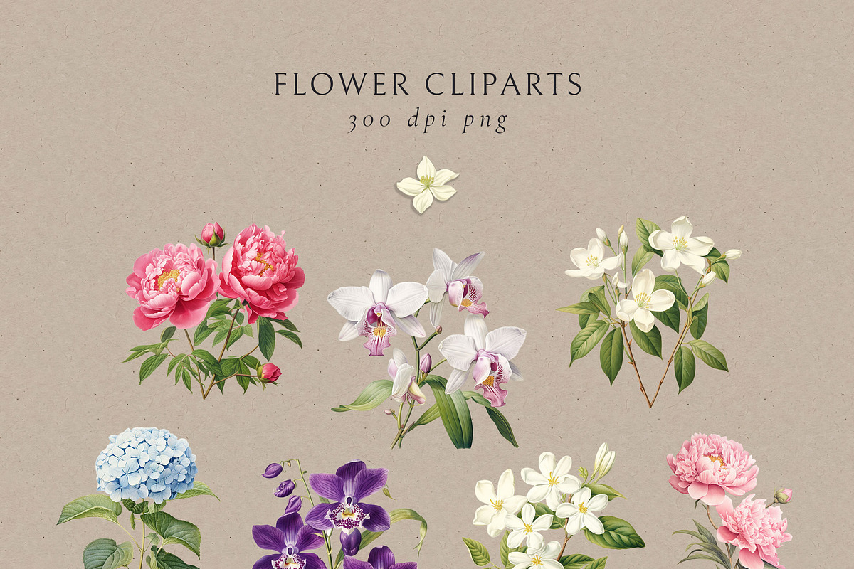 Floral Seamless Patterns + Cliparts, a Pattern Graphic by Olya Creative (Photo 5 of 20)