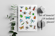 Set of insects, an Animal Illustration by IPVector (Thumbnail 1 of 6)