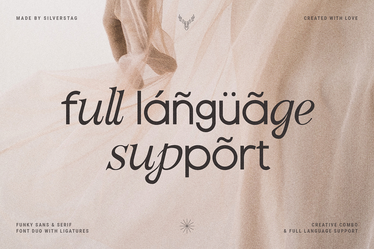 Officially Funky - Modern Font Duo, a Sans Serif Font by SilverStag Type Foundry (Photo 16 of 17)