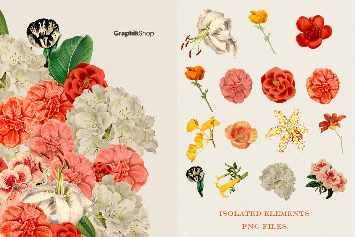 Vintage Summer Flowers Collection, a Pattern Graphic by Chus Moreno Studio (Photo 14 of 17)