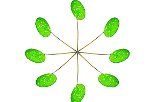 Lilly Pads on White, an Abstract Photo by THP Creative