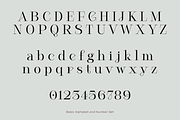 Cesso: Ligature Serif, a Serif Font by That That Creative (Thumbnail 6 of 17)