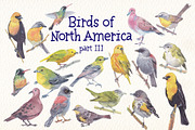 Birds of North America part 3, an Animal Illustration by Art & Things (Thumbnail 2 of 8)