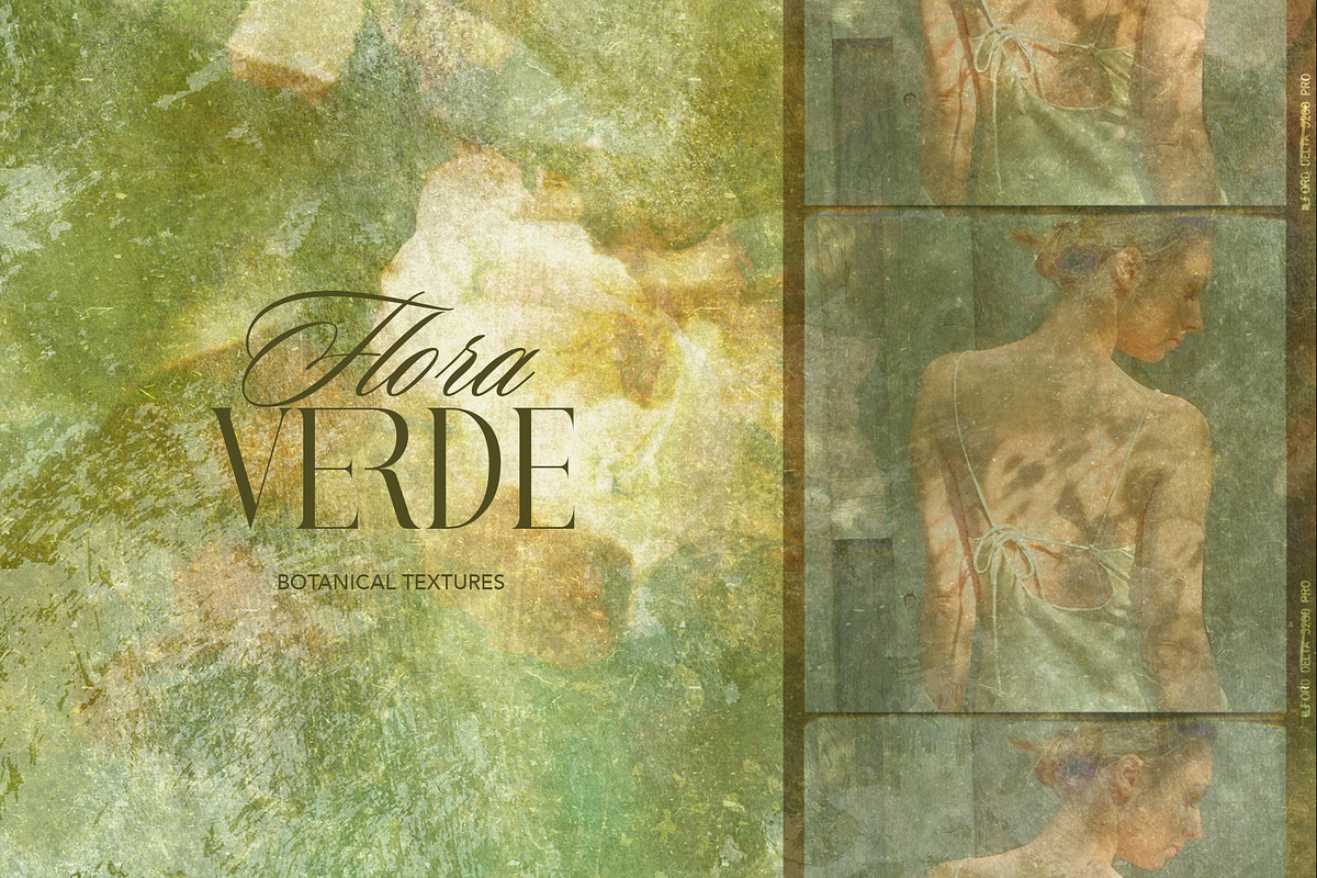 FloraVerde: Botanical Backgrounds, a Background Graphic by alonahaidash (Photo 4 of 12)
