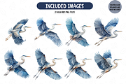 Blue Heron Collection Clipart Bundle, an Animal Illustration by TatiMockup (Thumbnail 2 of 5)