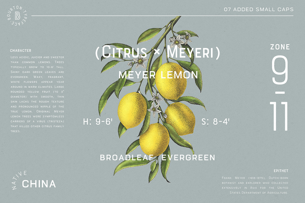 60% OFF Bourton Text Typeface, a Sans Serif Font by Kimmy Design (Photo 11 of 15)