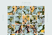 July Abstract Painted Backgrounds, a Texture Graphic by Basia Stryjecka (Thumbnail 12 of 16)