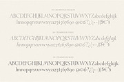 Cedarwood - Classy Serif, a Serif Font by Harmonais Visual (Thumbnail 19 of 19)