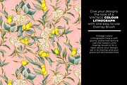 Procreate Print Works Media Pack, a Brush Add-On by UPROOT (Thumbnail 37 of 64)