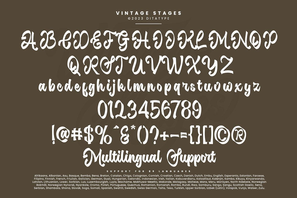 Vintage Stages, a Script Font by Ditatype (Photo 6 of 11)