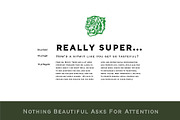 Veneer, a Serif Font by Loudoun Design Co. (Thumbnail 4 of 11)