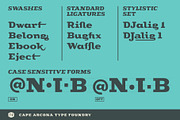 CA Cape Rock - Family, a Slab Serif Font by Cape Arcona Type Foundry (Thumbnail 6 of 8)
