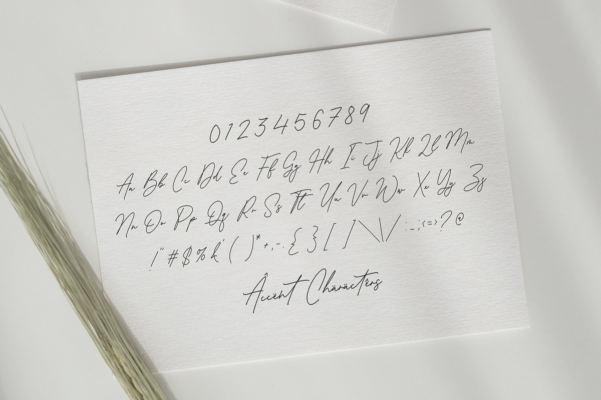 Antonio Fischer - Monoline Font, a Script Font by Balpirick Studio (Photo 6 of 7)