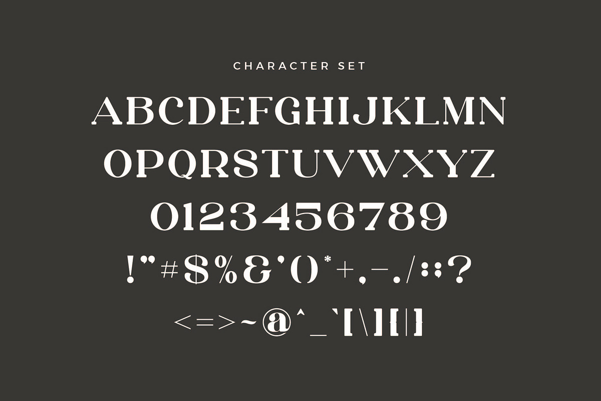 Jason - Modern Serif Font preview 8