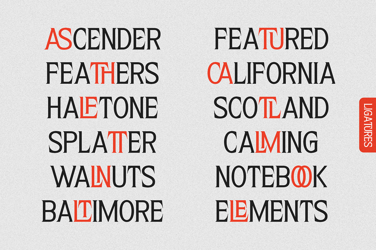 Astheric – Modern Ligature Serif, a Serif Font by Variatype (Photo 9 of 10)