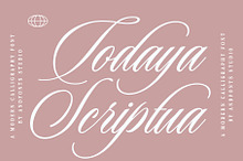Todaya Scriptua, Calligraphy Font