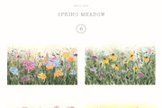 Spring Wildflowers, a Decorative Illustration by LiChu Art (Thumbnail 7 of 18)